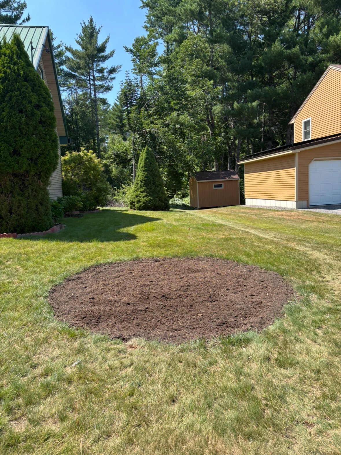 Same spot after grinding, mulched flush with the lawn