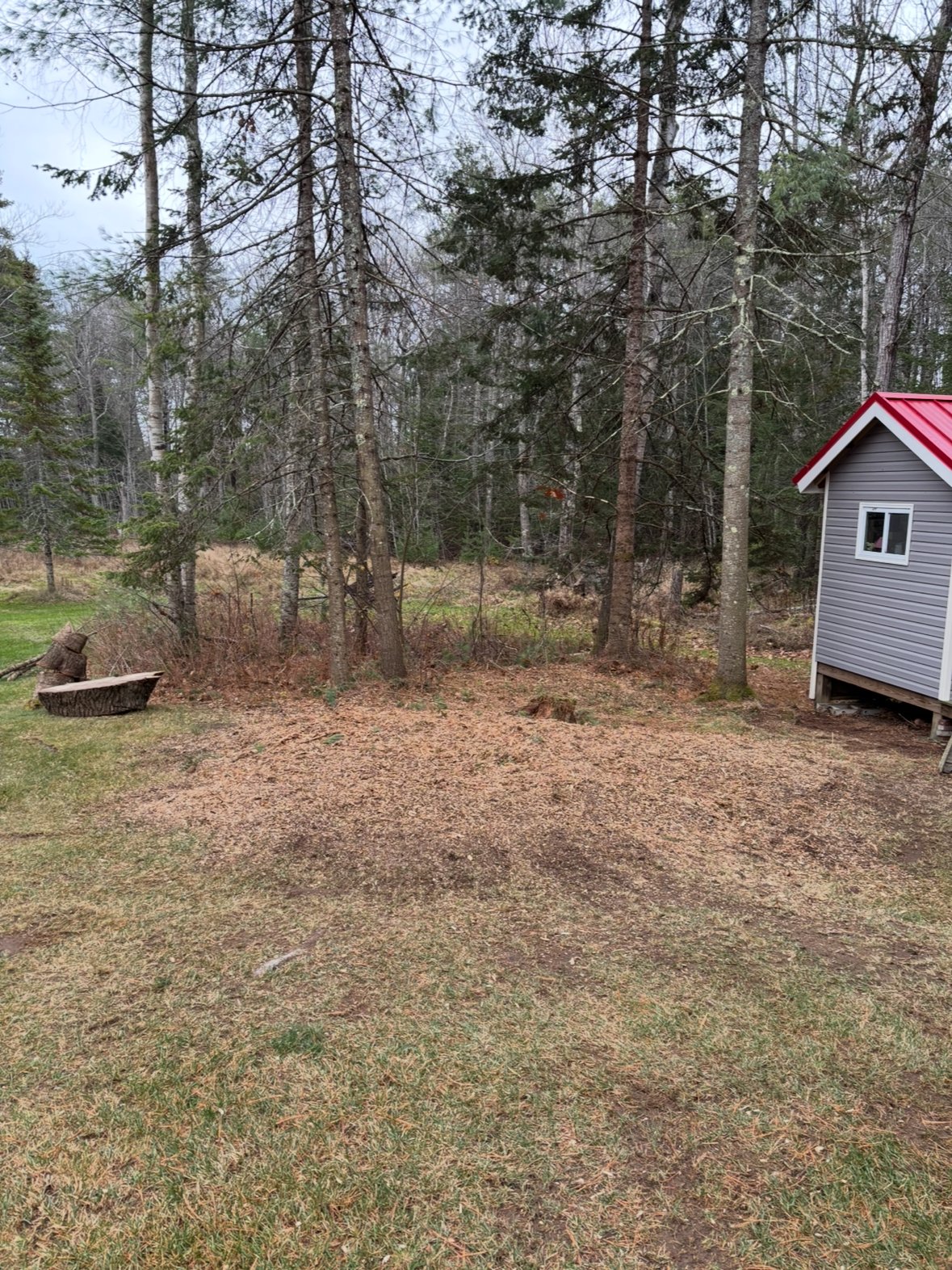 Same spot by the red-roofed shed after grinding, ground flush