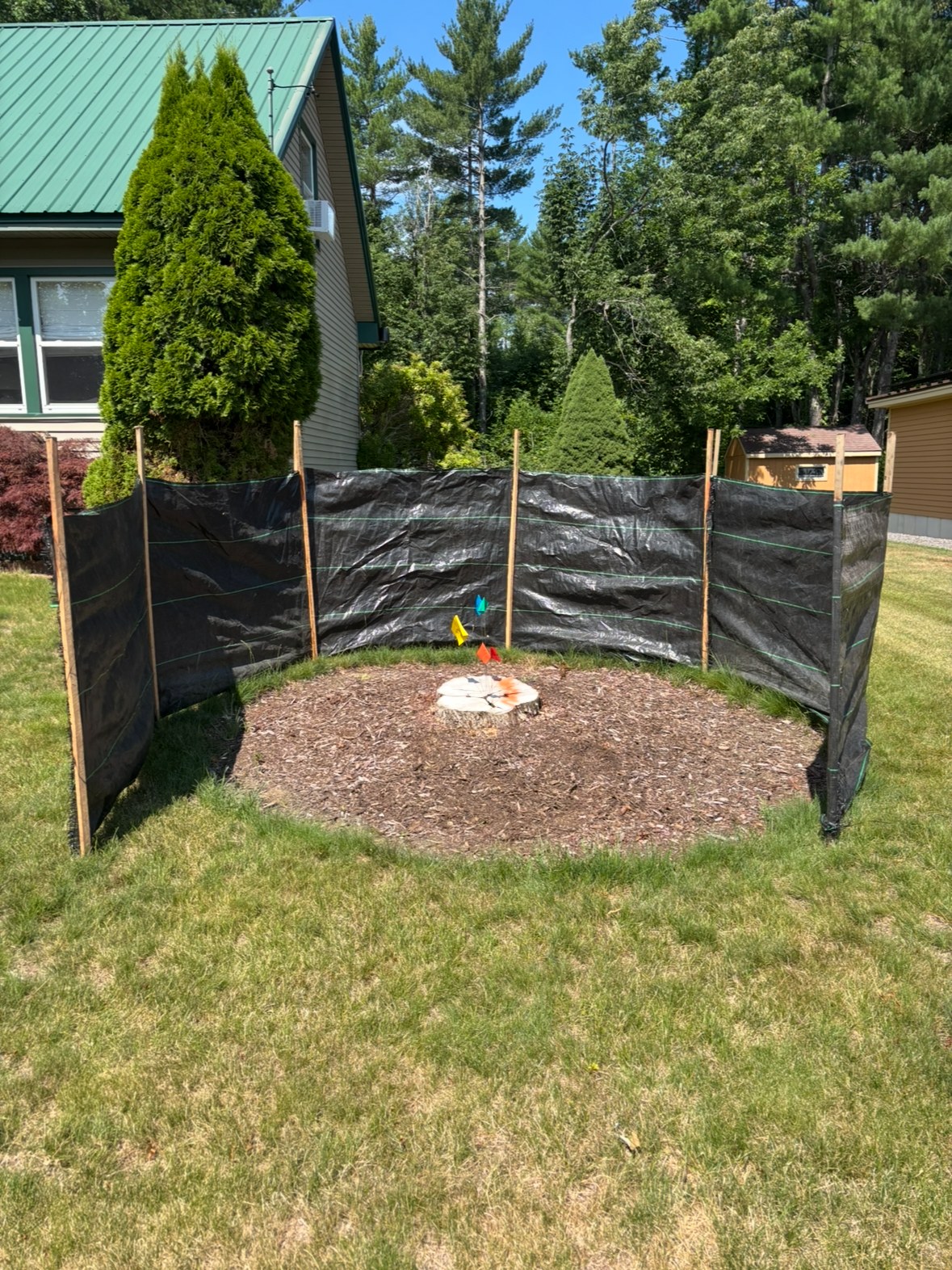 Stump before grinding, protected by tarps