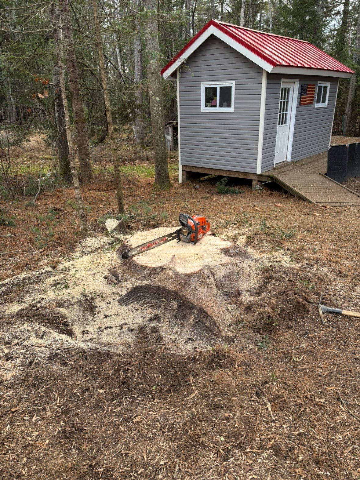 Large stump with chainsaw resting on it, red-roofed shed behind