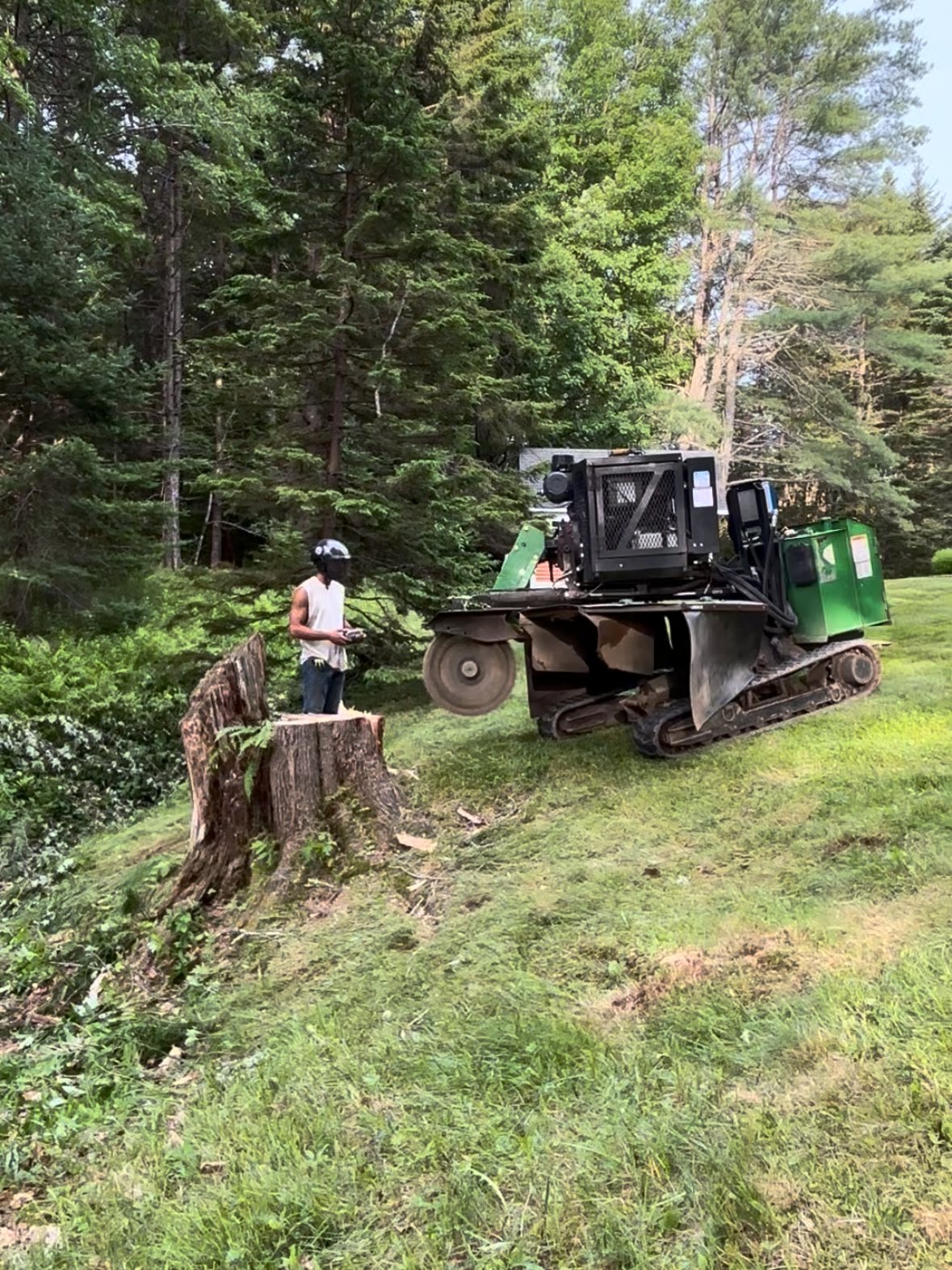 Large stump with grinder rolling in, worker operating remote control