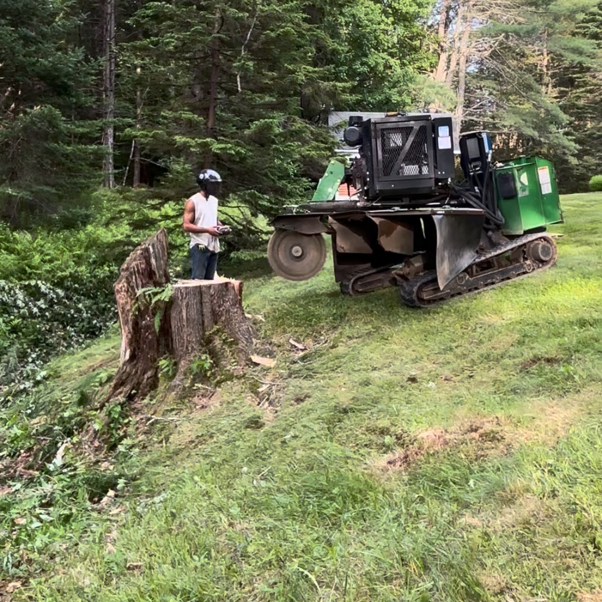 Lucas grinding a large stump with the remote-controlled grinder, Brunswick ME